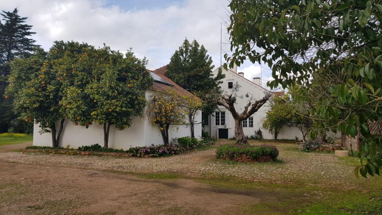 Отель Quinta Do Cacador Эштремош Экстерьер фото