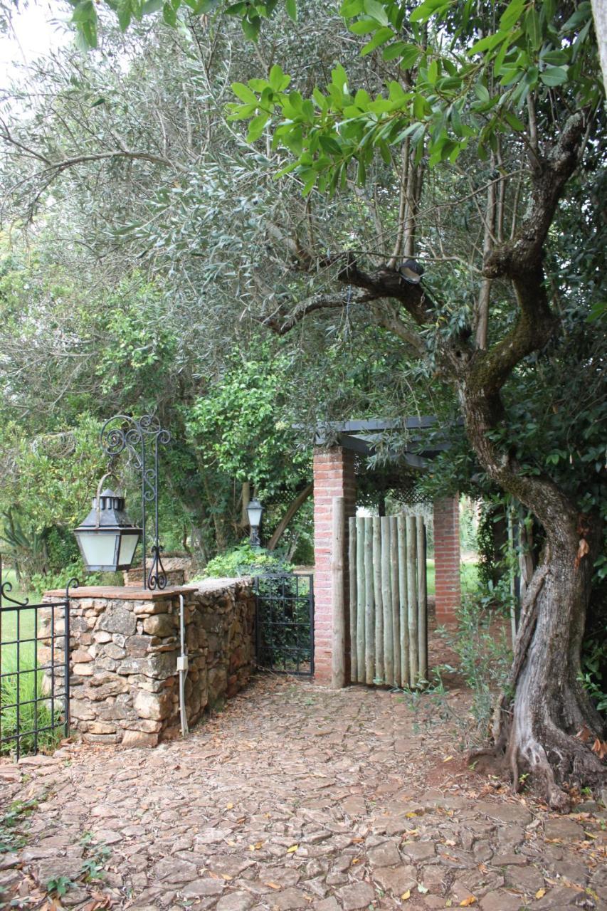 Отель Quinta Do Cacador Эштремош Экстерьер фото